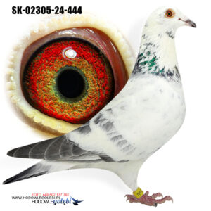 SK-24-02305-444 "OLYMPIC RICO"